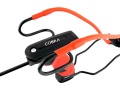 PROCA BARNETT COBRA-2937