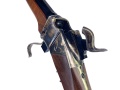 Karabin Sharps Saguaro Silhouette Perfect .38