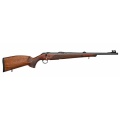 cz6001.jpg
