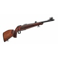 cz6002.jpg