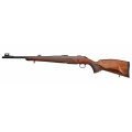 cz6003.jpg